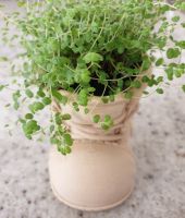 Chaussure pot de fleurs 05